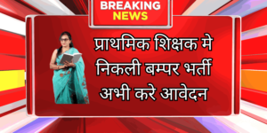 SSA Recruitment 2025 प्राथमिक शिक्षक मे निकली बम्पर भर्ती अभी करे आवेदन 2 SSA Recruitment 2025 प्राथमिक शिक्षक मे निकली बम्पर भर्ती अभी करे आवेदन